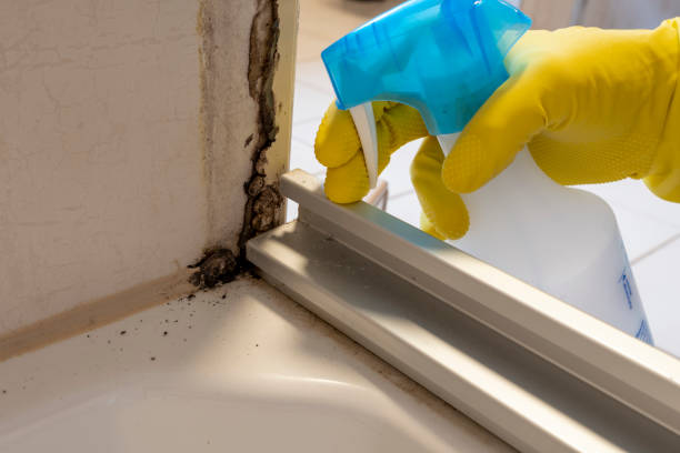 Best Office Mold Removal Services  in Mcmurray, PA