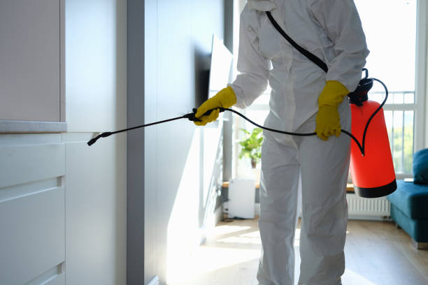Best Mold Damage Repair  in Mcmurray, PA